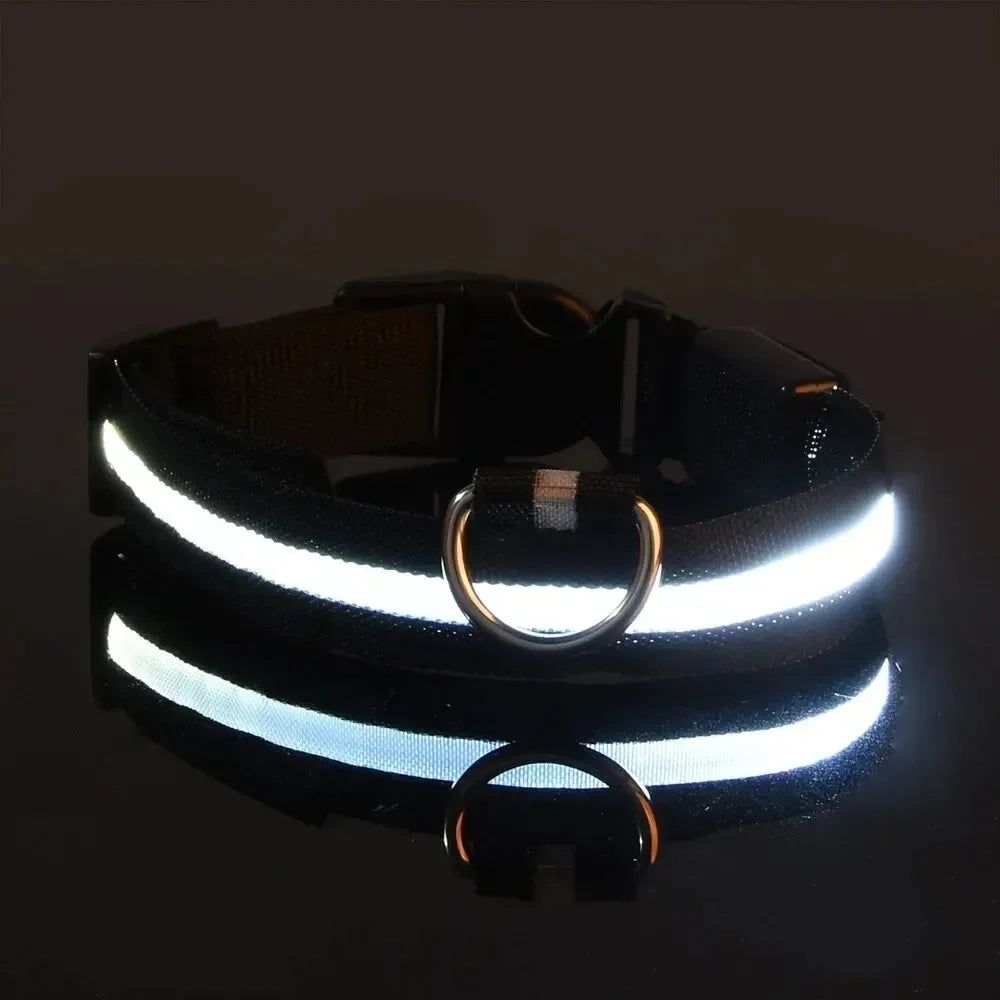 Light Up LED Pet Dog Collar Safety Night Walking