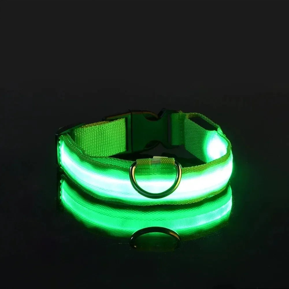 Light Up LED Pet Dog Collar Safety Night Walking