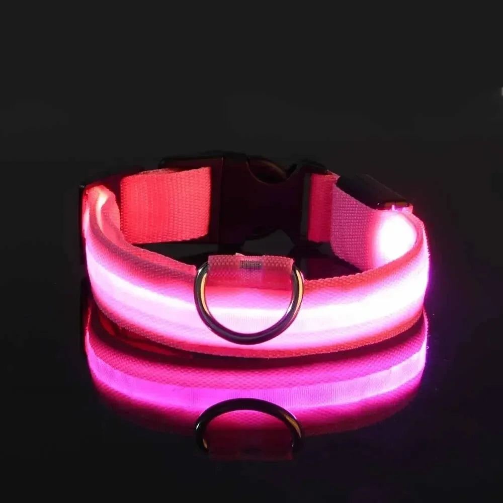 Light Up LED Pet Dog Collar Safety Night Walking