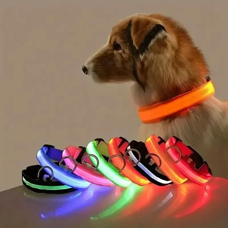 Light Up LED Pet Dog Collar Safety Night Walking