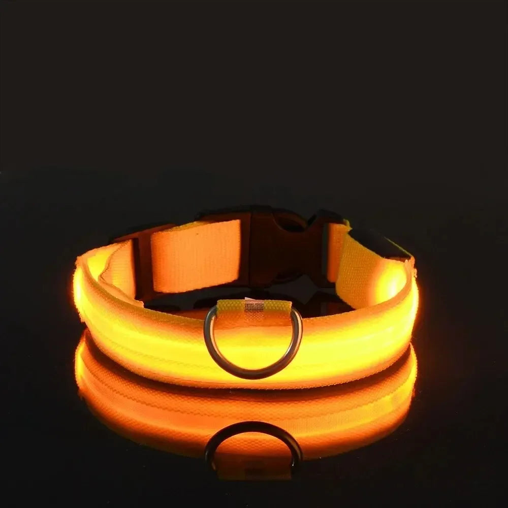 Light Up LED Pet Dog Collar Safety Night Walking
