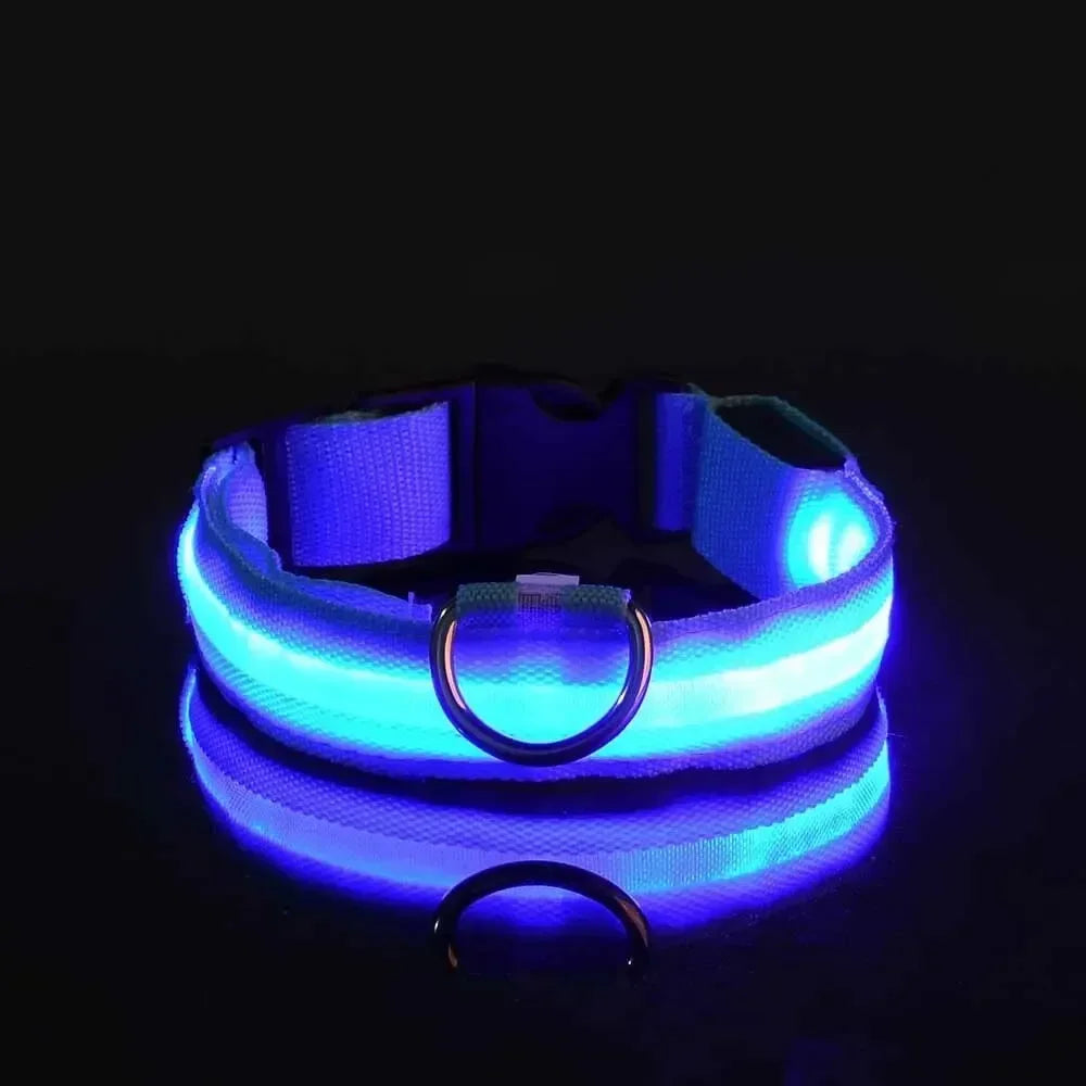 Light Up LED Pet Dog Collar Safety Night Walking