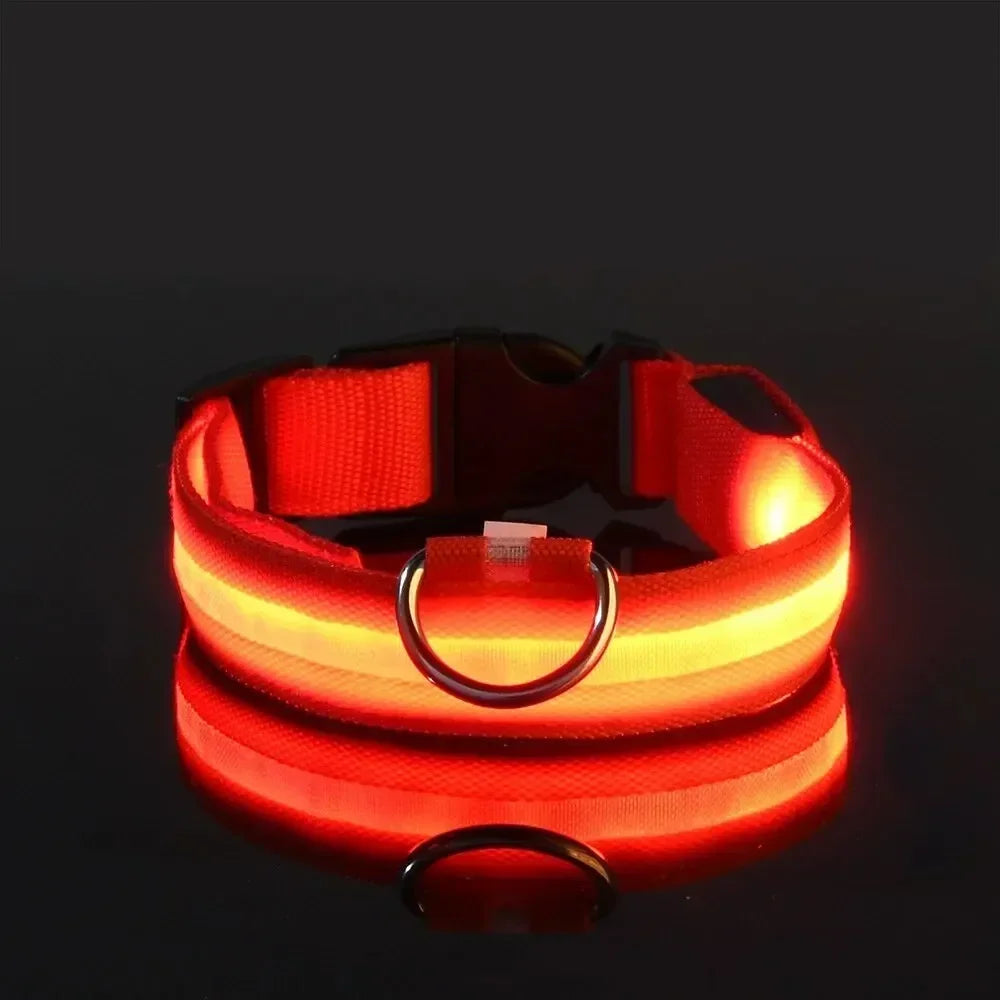 Light Up LED Pet Dog Collar Safety Night Walking