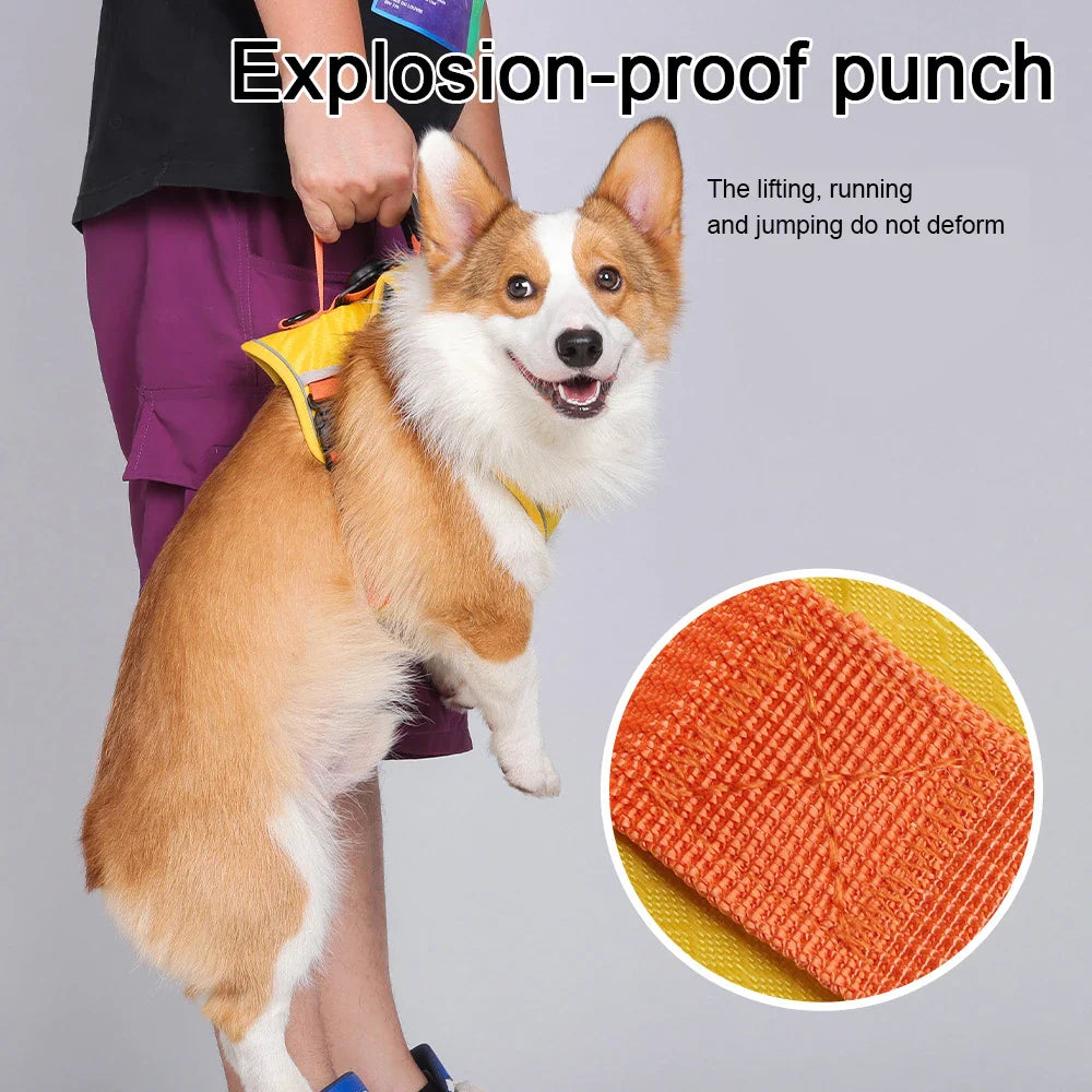 Reflective Dog Harness with Airtag Holder