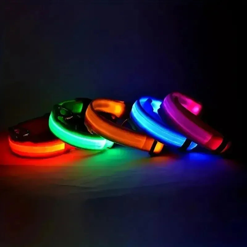 Light Up LED Pet Dog Collar Safety Night Walking
