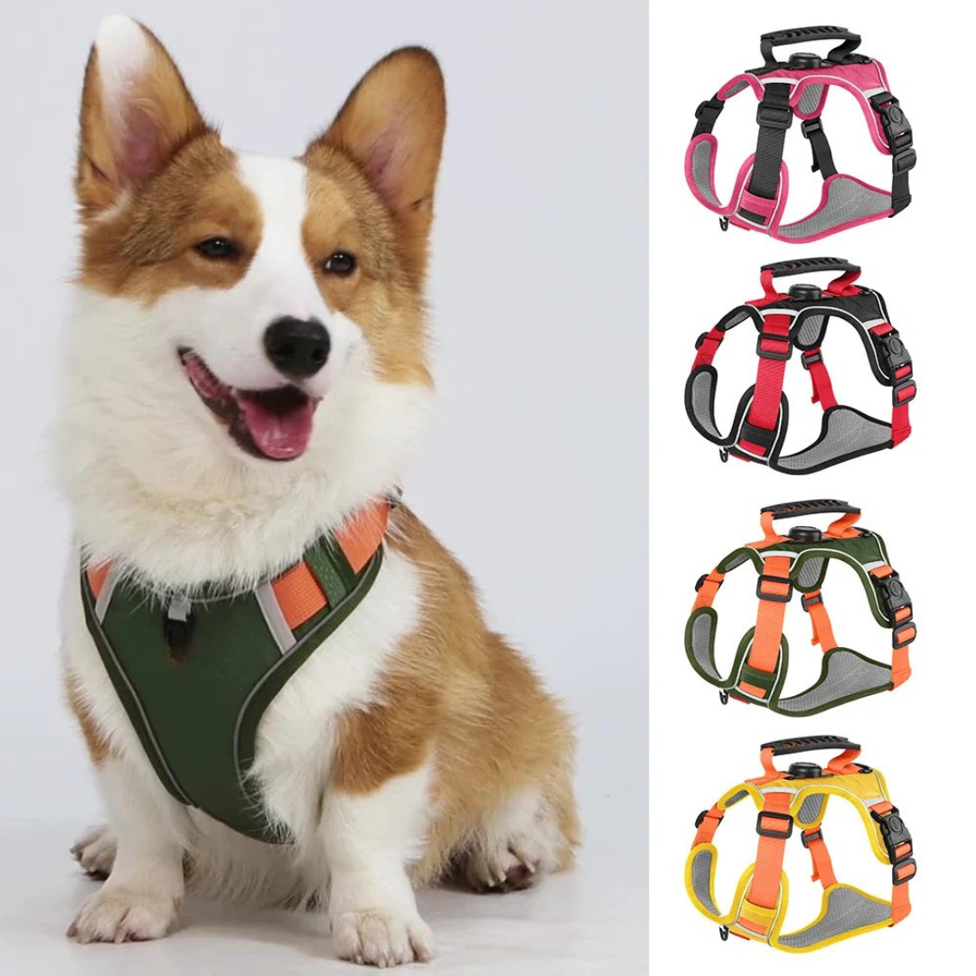 Reflective Dog Harness with Airtag Holder
